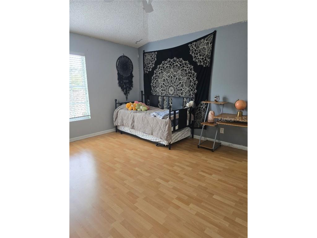 14116 Trouville Drive Tampa FL 33624 TB8391257 image27