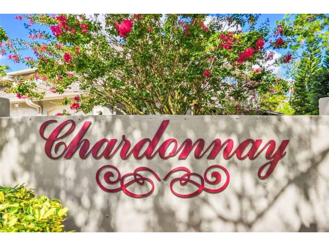 14116 Trouville Drive Tampa FL 33624 TB8391257 image38