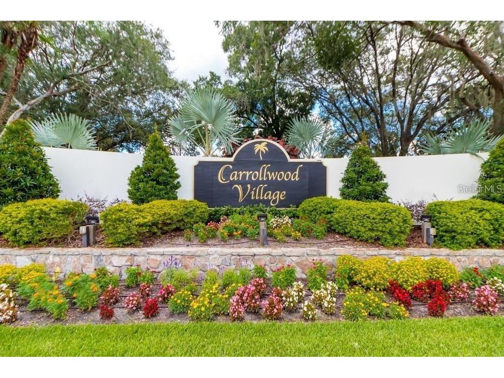 14116 Trouville Drive Tampa FL 33624 TB8391257 image45