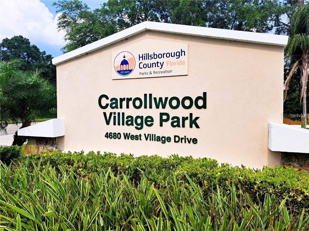 14116 Trouville Drive Tampa FL 33624 TB8391257 image48