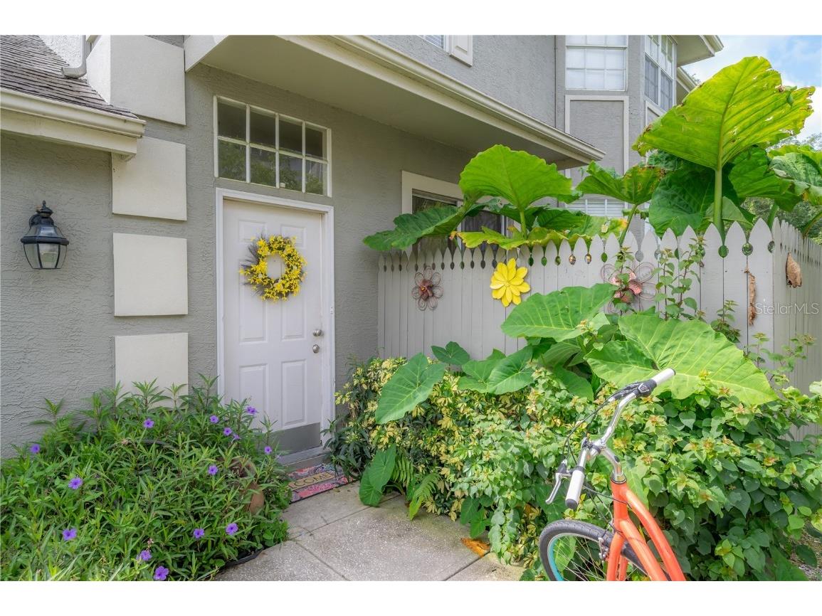 14116 Trouville Drive Tampa FL 33624 TB8391257 image5