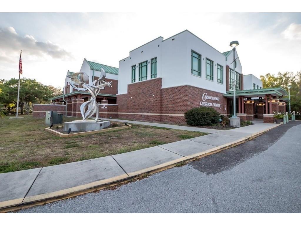 14116 Trouville Drive Tampa FL 33624 TB8391257 image52