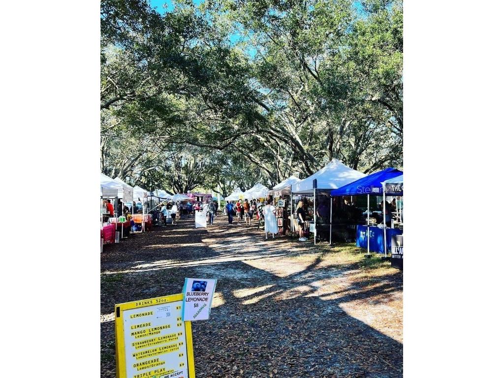 14116 Trouville Drive Tampa FL 33624 TB8391257 image55