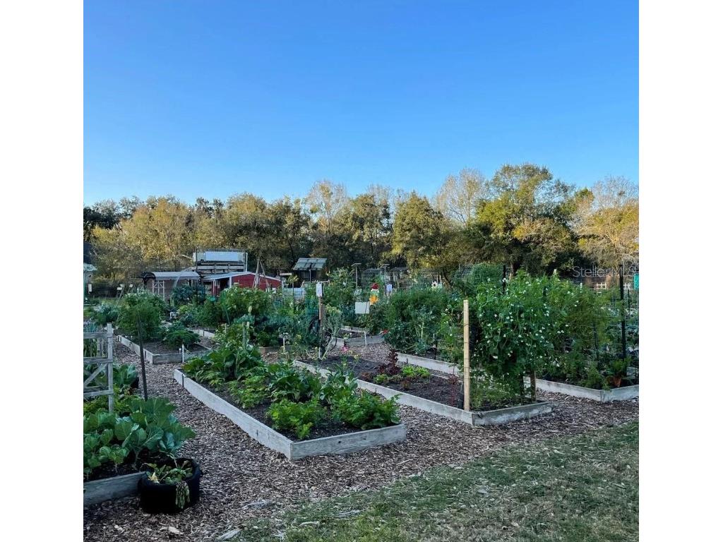 14116 Trouville Drive Tampa FL 33624 TB8391257 image57