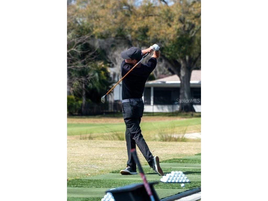 14116 Trouville Drive Tampa FL 33624 TB8391257 image58