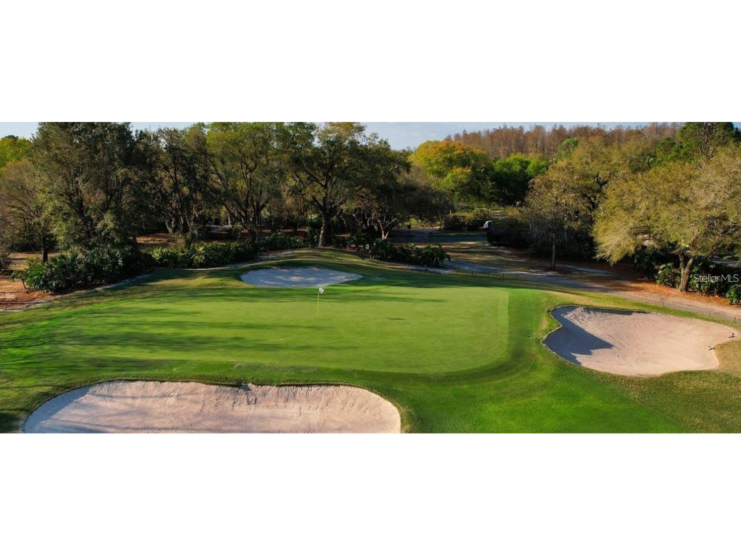 14116 Trouville Drive Tampa FL 33624 TB8391257 image60