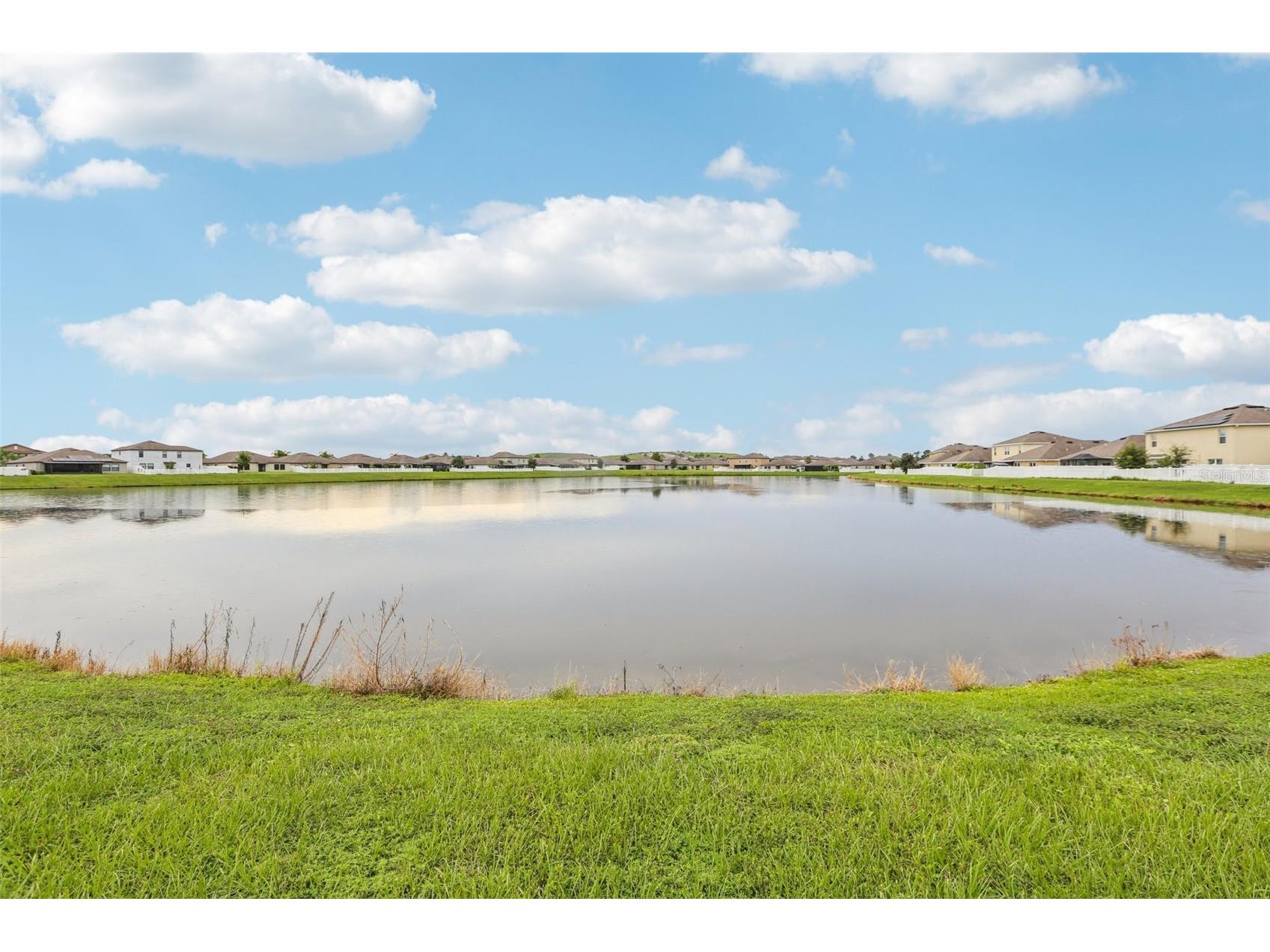 14118 Arbor Pines Drive Riverview FL 33579 TB8481614 image35