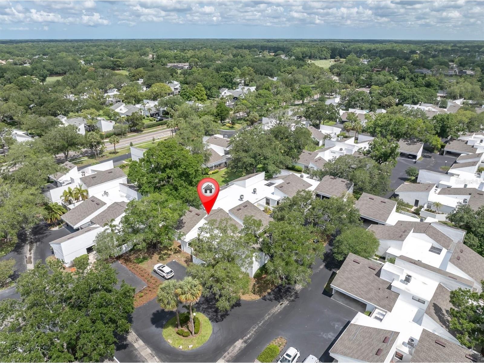 14118 Cypress Run #14 Tampa FL 33618 TB8511962 image33