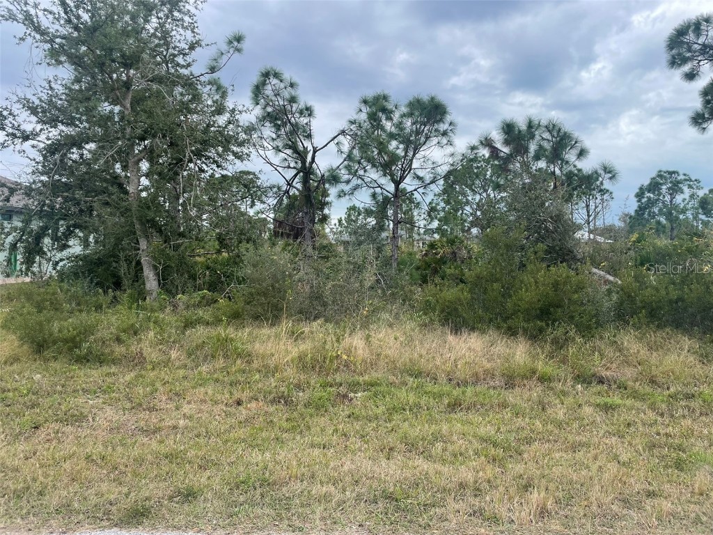 14119 Barbet Lane Port Charlotte FL 33981 C7485910 image1