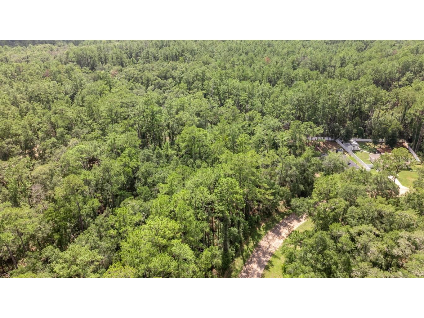 1412 E Carson Road Citrus Springs FL 34434 OM710541 image10