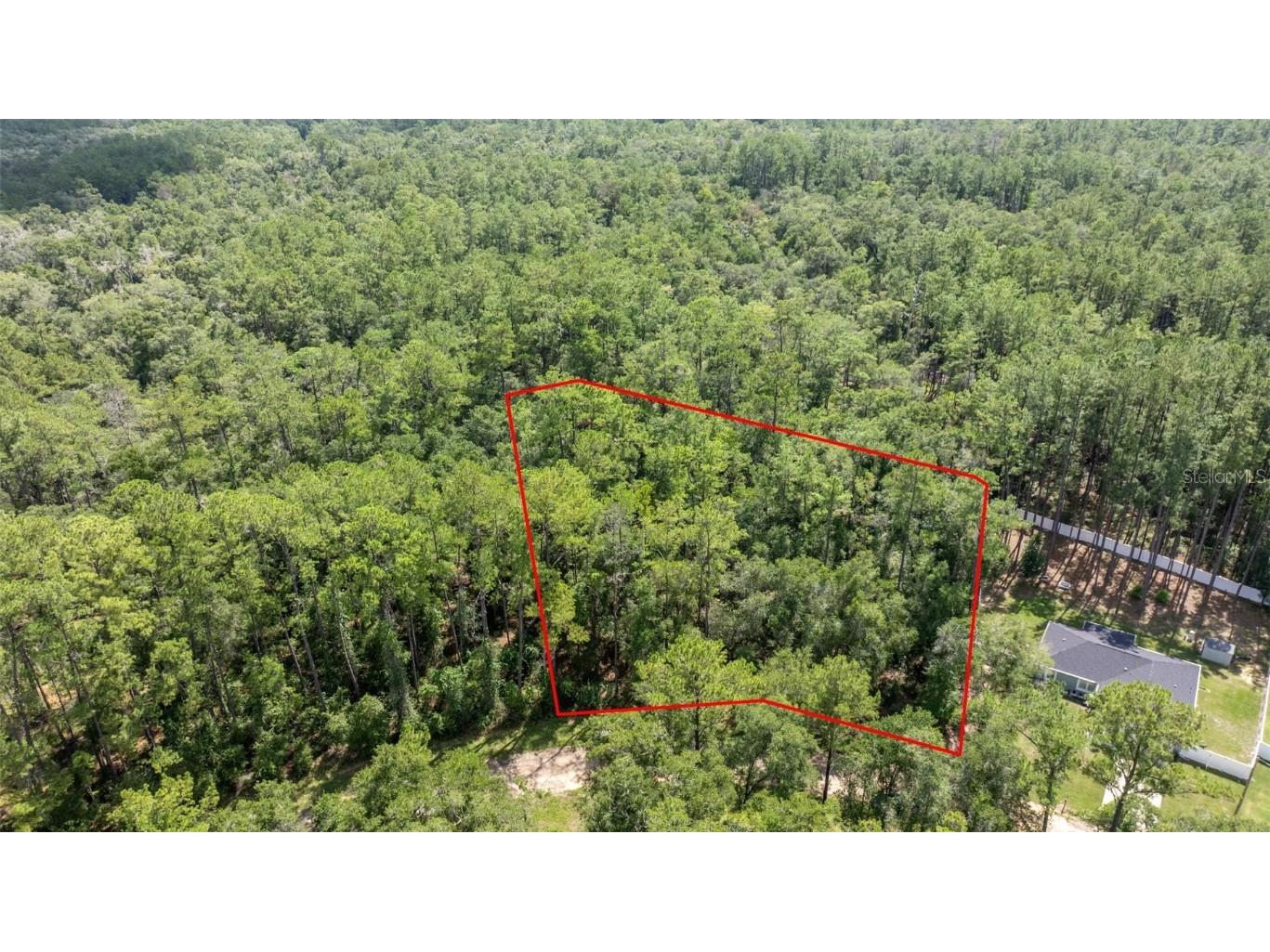 1412 E Carson Road Citrus Springs FL 34434 OM710541 image2