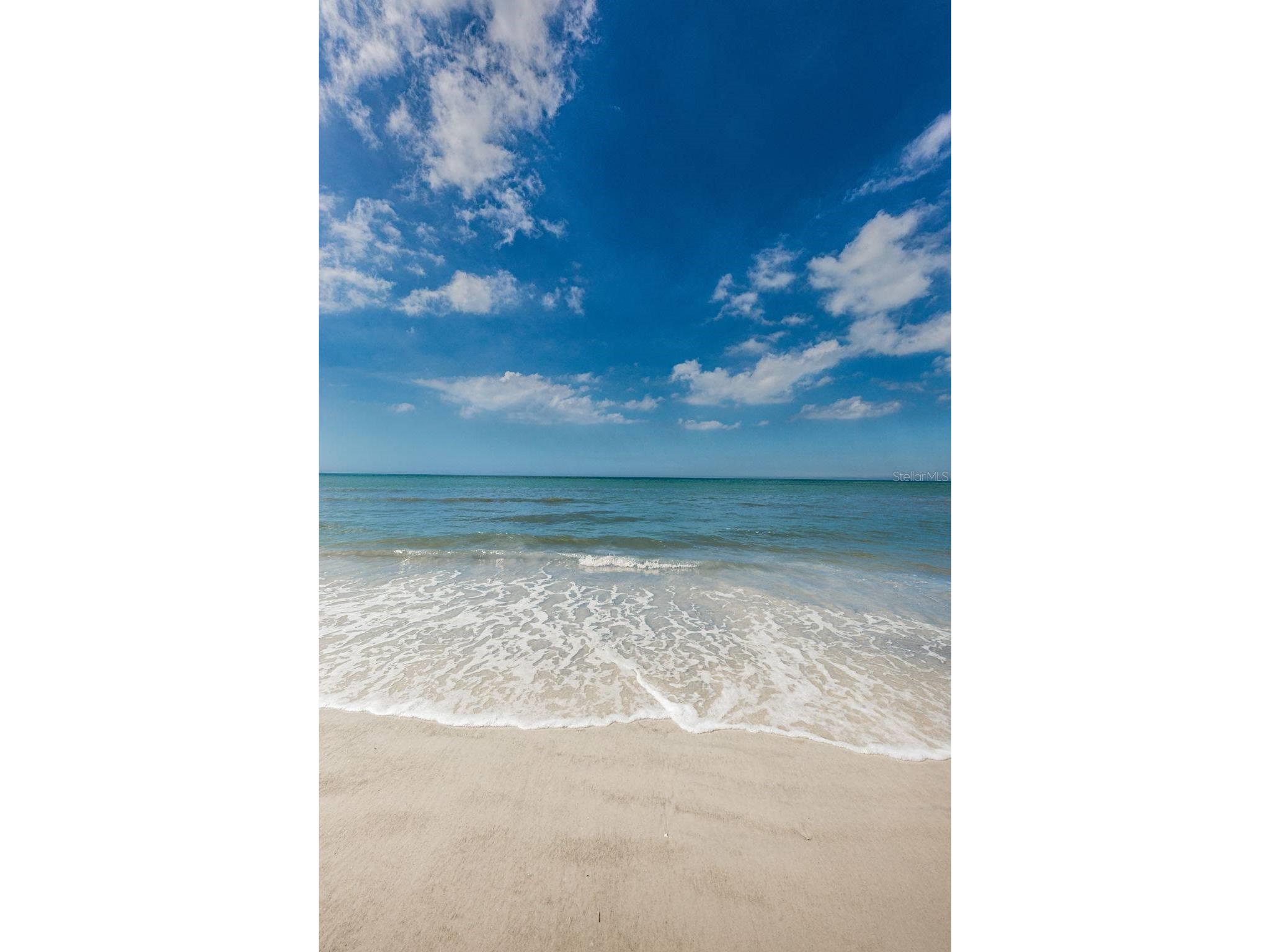 1412 Gulf Boulevard #102A Indian Rocks Beach FL 33785 TB8475649 image31