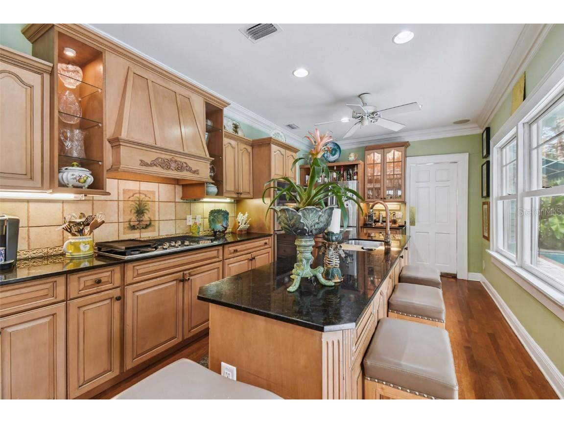 1412 Nance Avenue Tampa FL 33606 TB8451024 image22