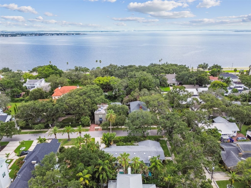 1412 Nance Avenue Tampa FL 33606 TB8451024 image49