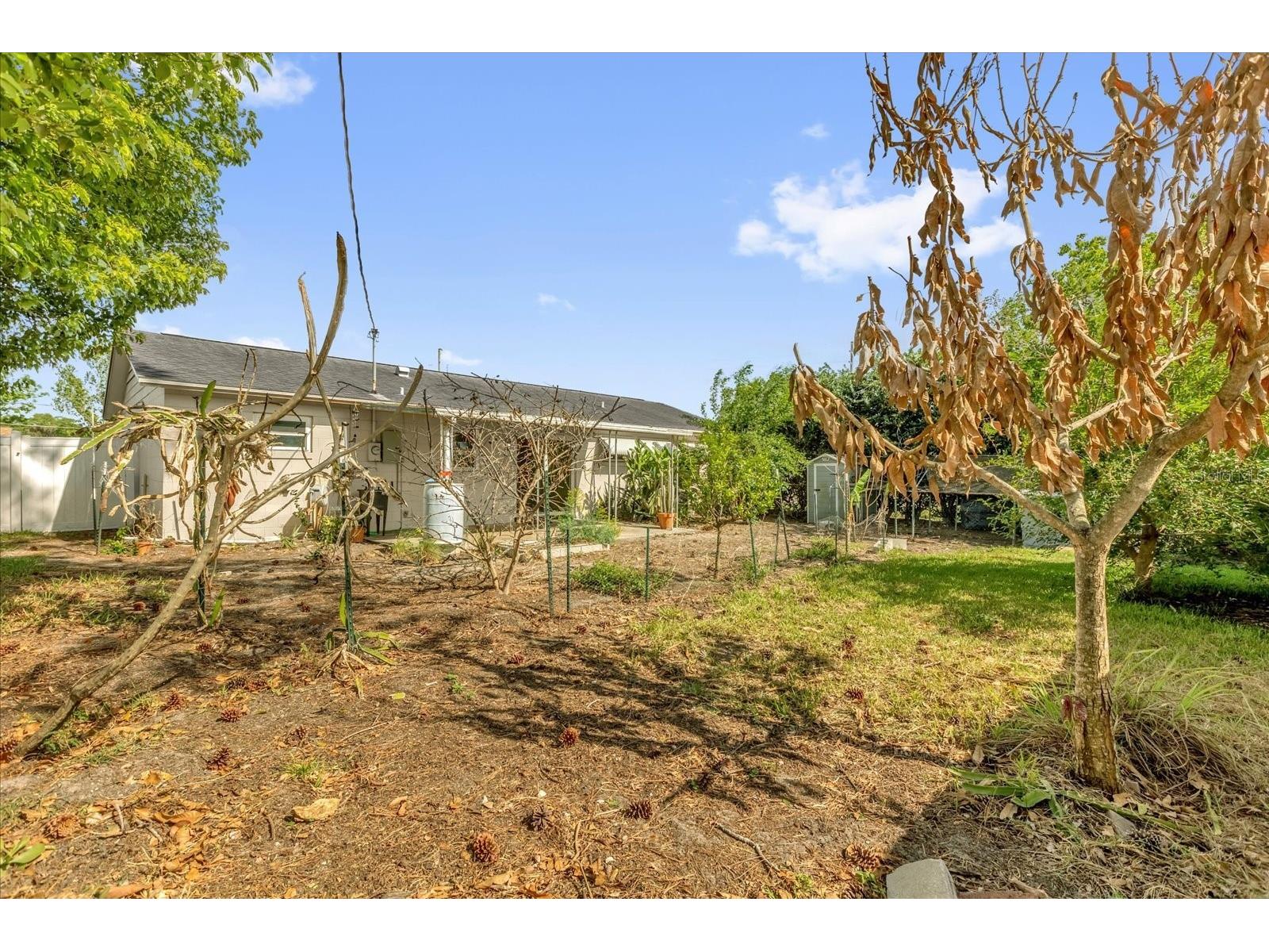 1412 S Oxalis Avenue Orlando FL 32807 O6393693 image24