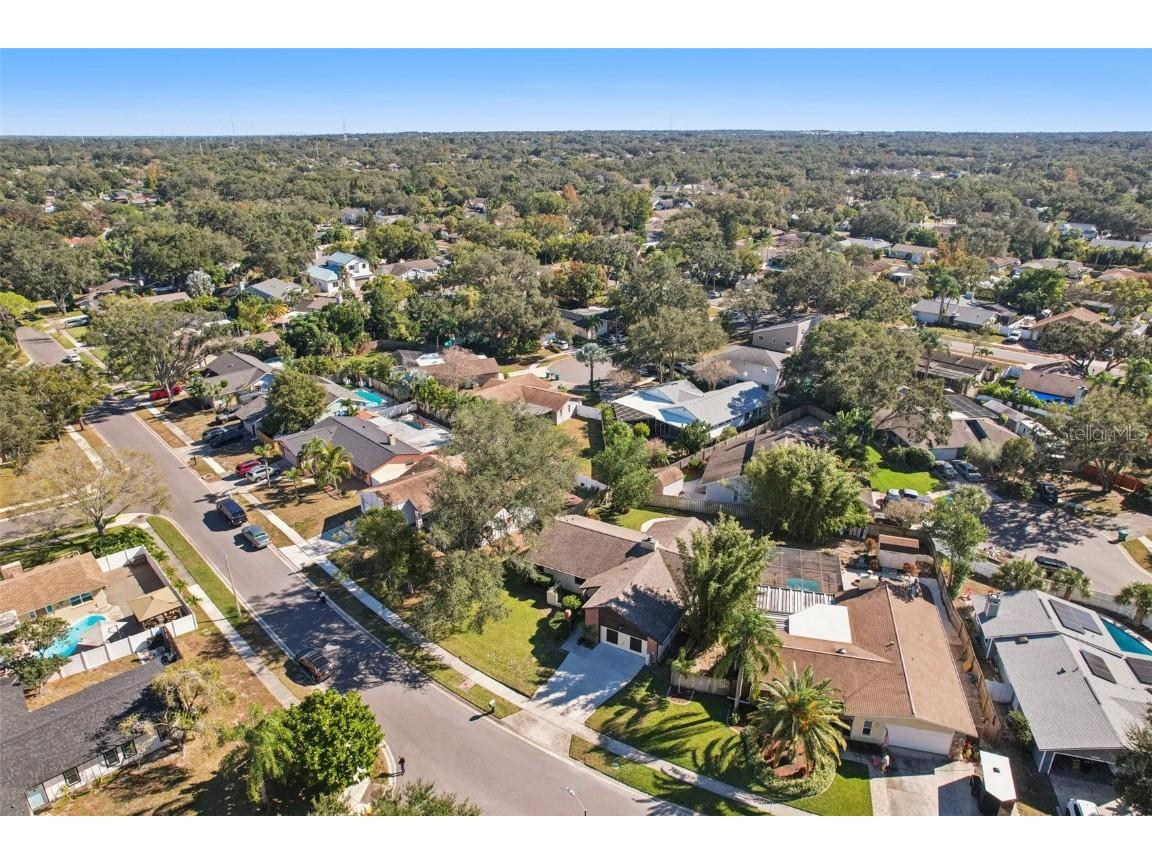 1412 Wexford Drive N Palm Harbor FL 34683 TB8452271 image68