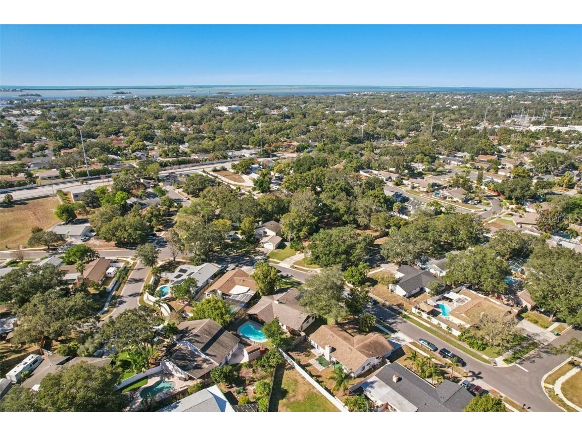 1412 Wexford Drive N Palm Harbor FL 34683 TB8452271 image71