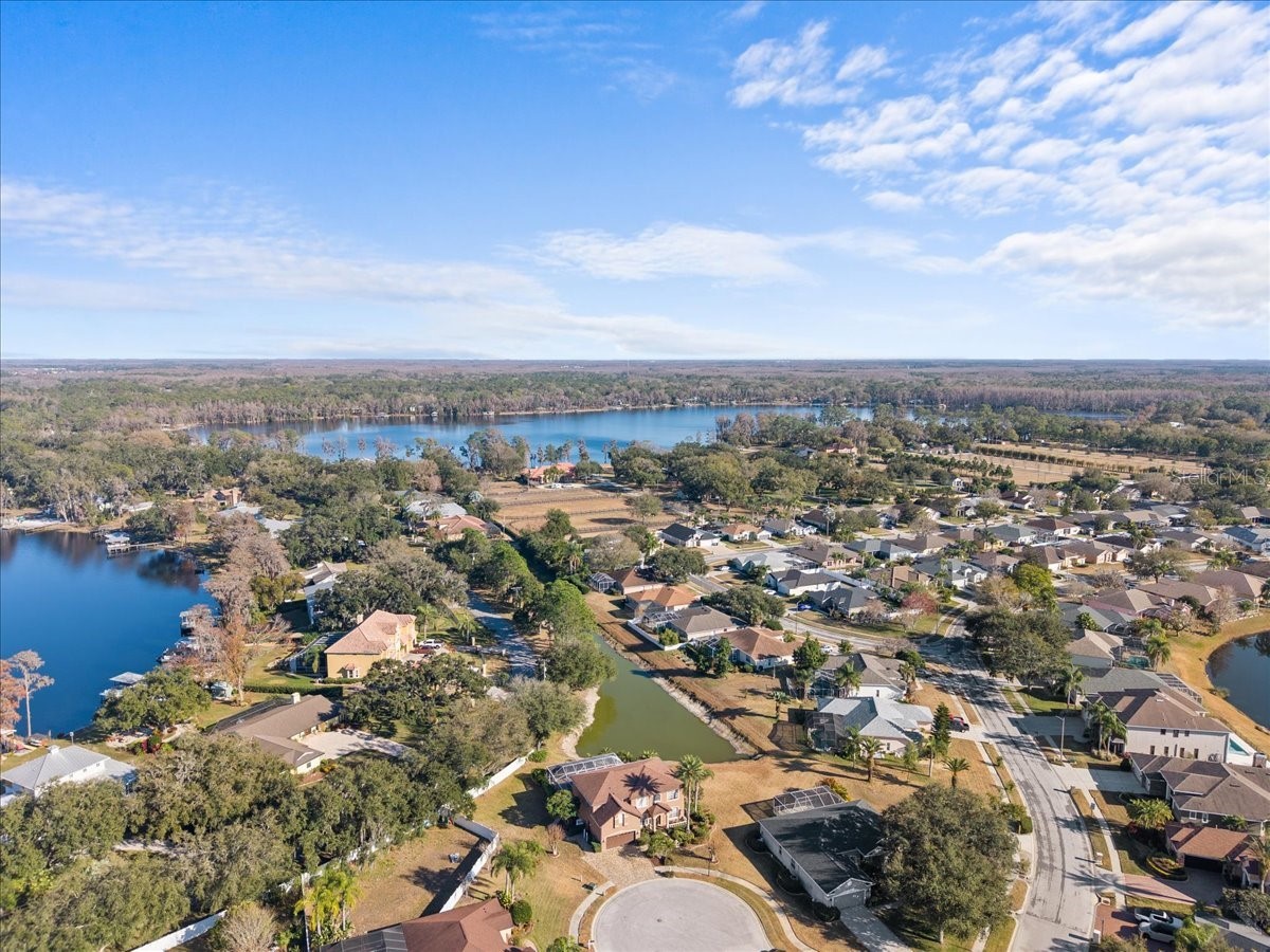 14120 Manda Court Odessa FL 33556 W7879430 image44