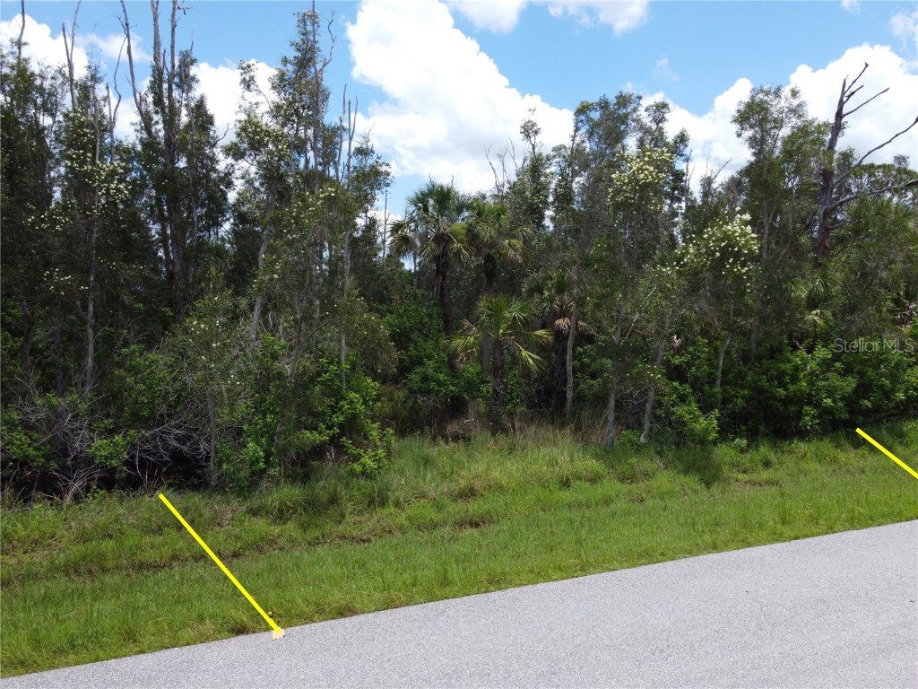 14120 Myakka Avenue Port Charlotte FL 33953 A4656902 image12