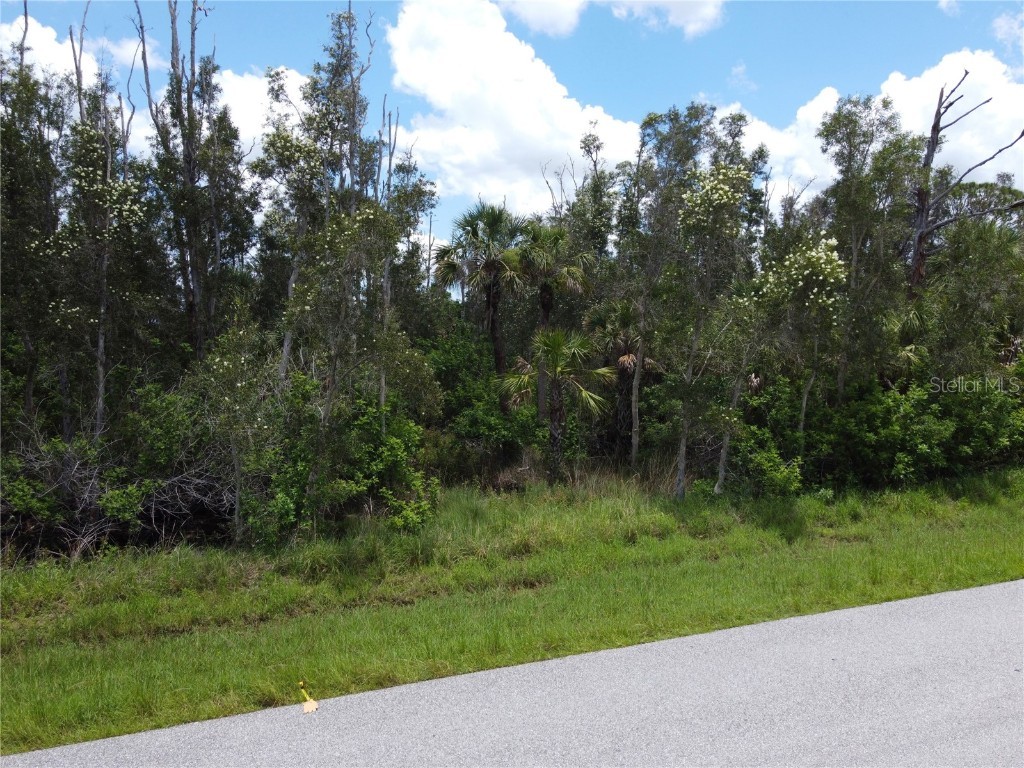 14120 Myakka Avenue Port Charlotte FL 33953 A4656902 image13