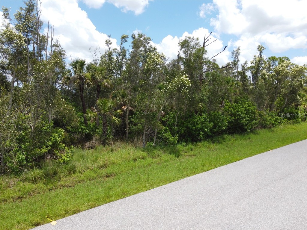 14120 Myakka Avenue Port Charlotte FL 33953 A4656902 image15