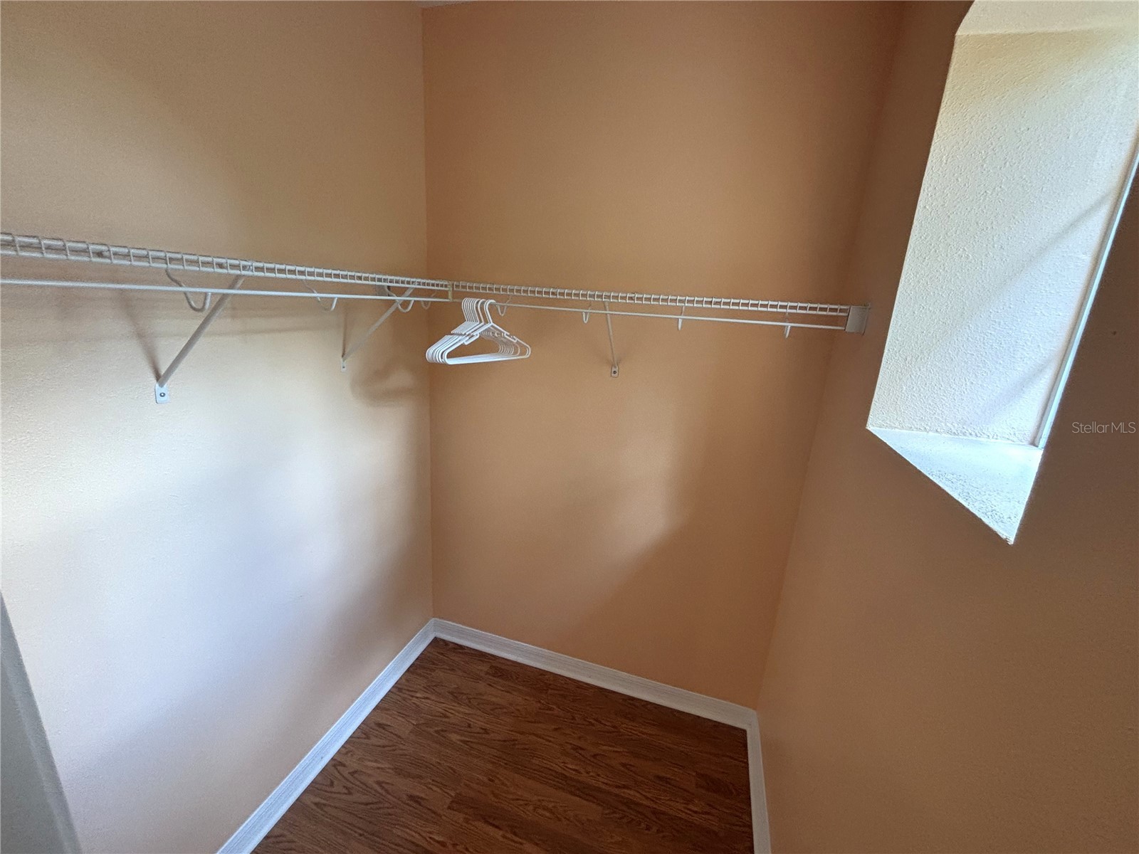 14120 Oakham Street Tampa FL 33626 O6419845 image10