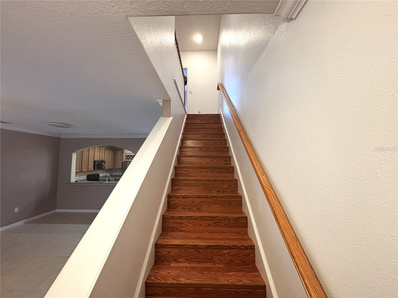 14120 Oakham Street Tampa FL 33626 O6419845 image6