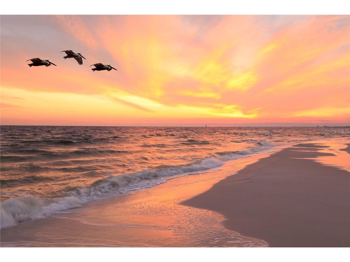 14120 Palm Street #103 Madeira Beach FL 33708 TB8430270 image18