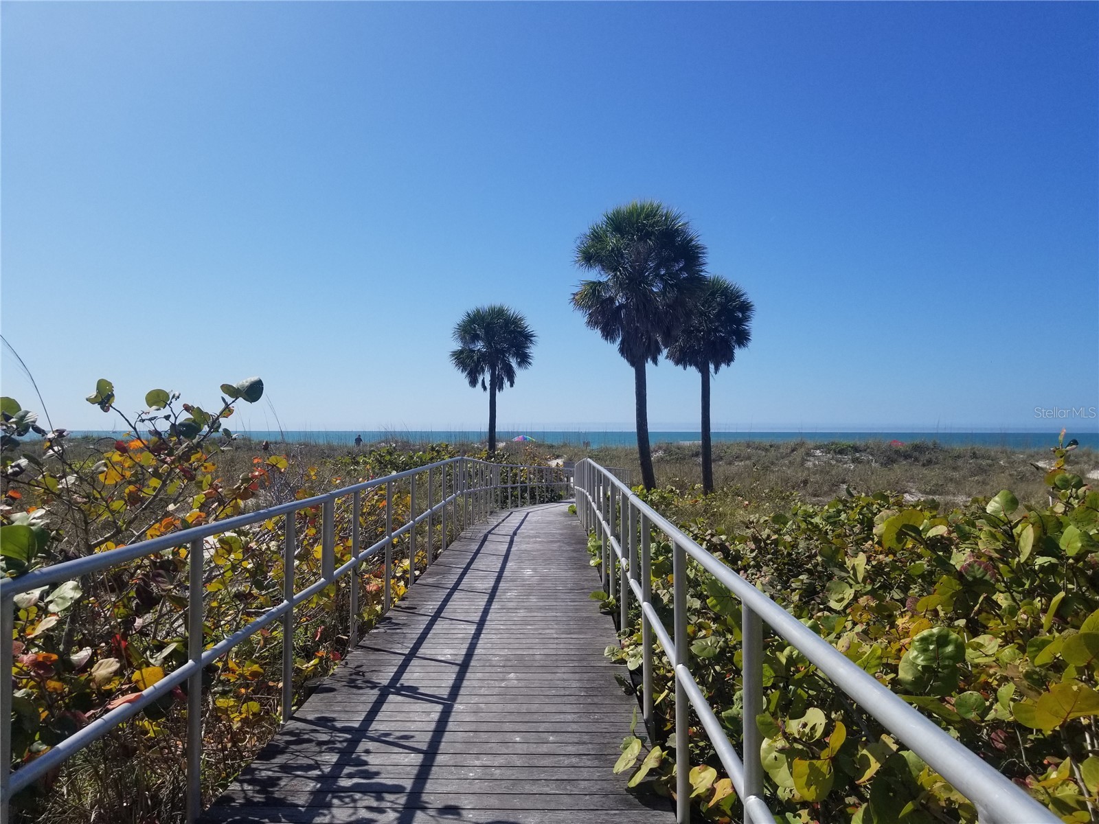14120 Palm Street #104 Madeira Beach FL 33708 TB8430270 image15