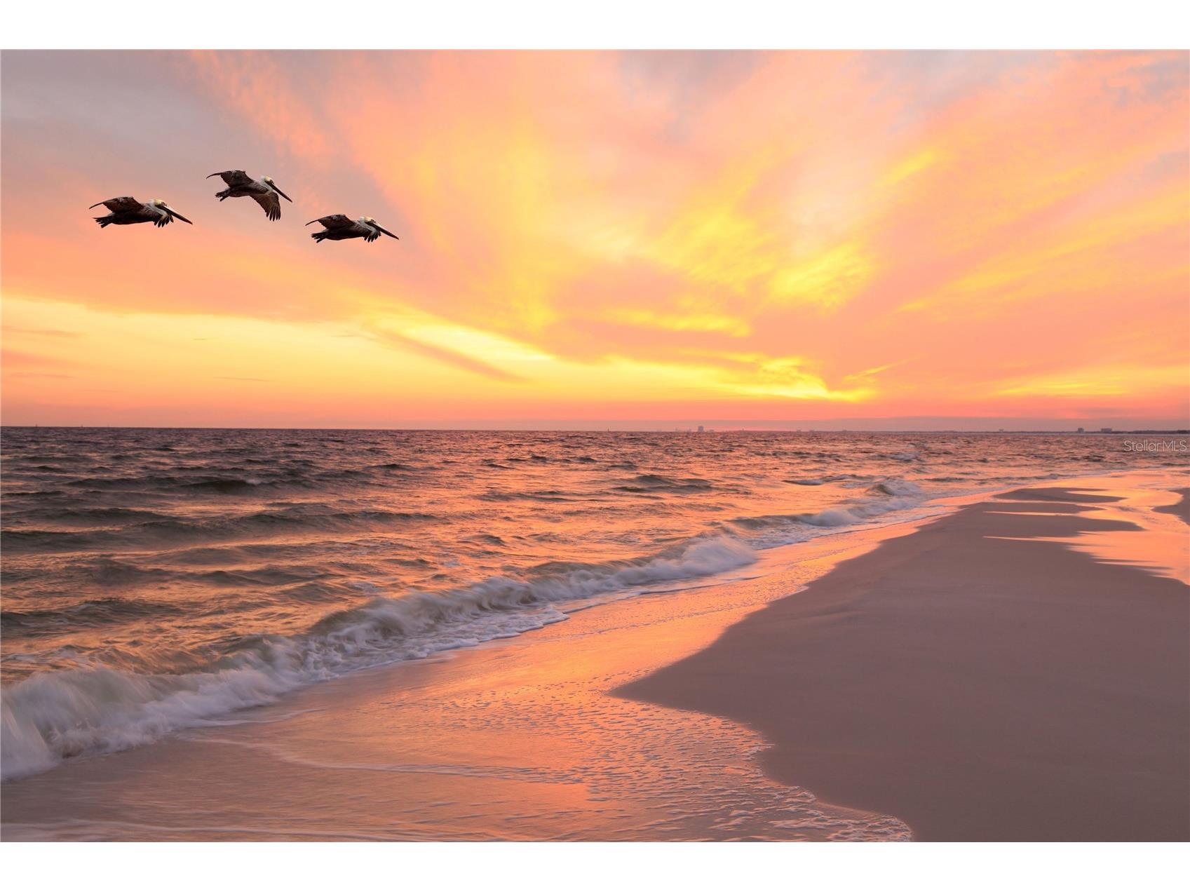 14120 Palm Street #104 Madeira Beach FL 33708 TB8430270 image17