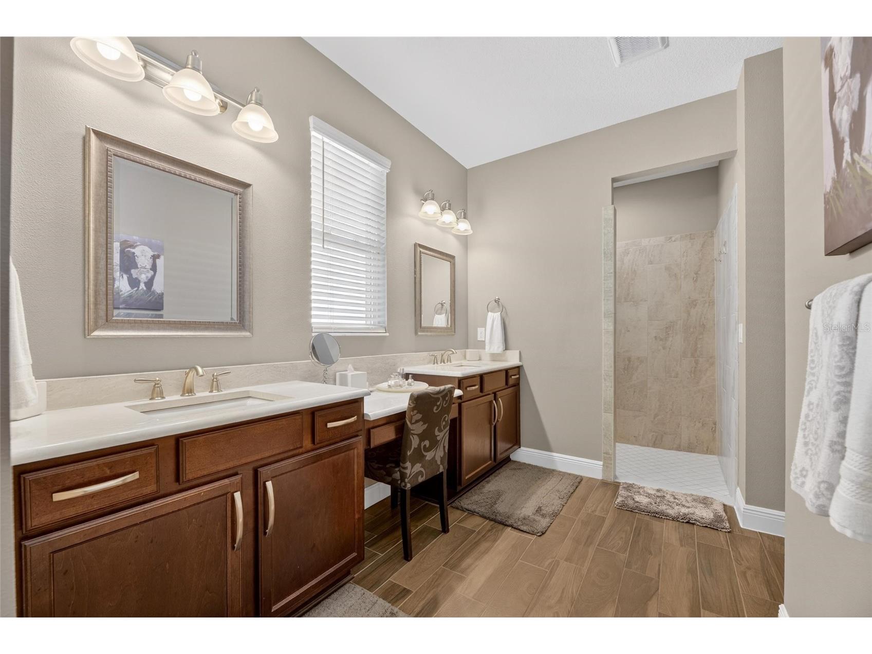 14121 Carissa Meadows Court Riverview FL 33569 TB8498309 image28