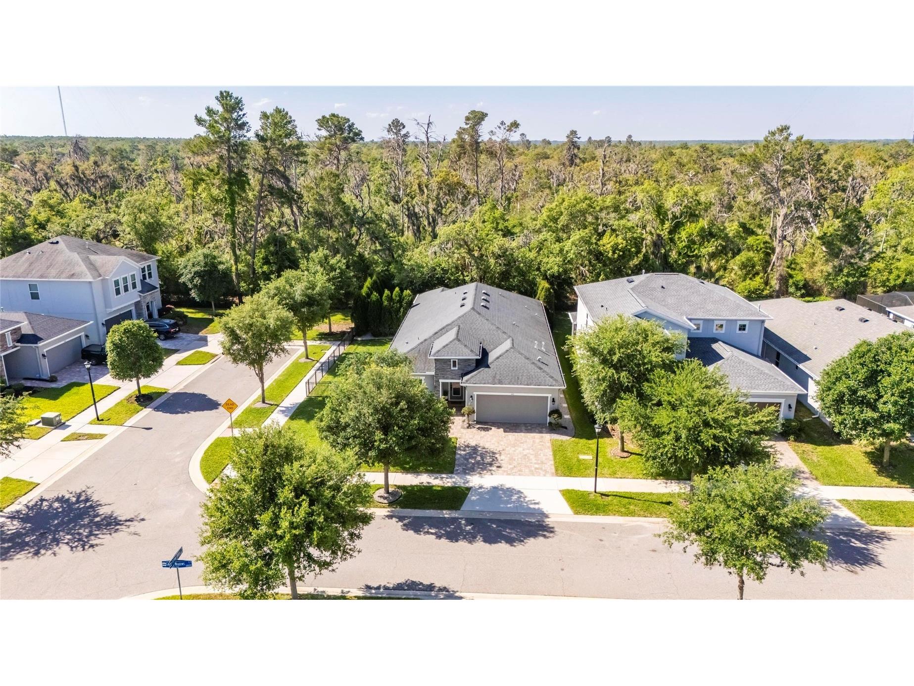 14121 Carissa Meadows Court Riverview FL 33569 TB8498309 image40