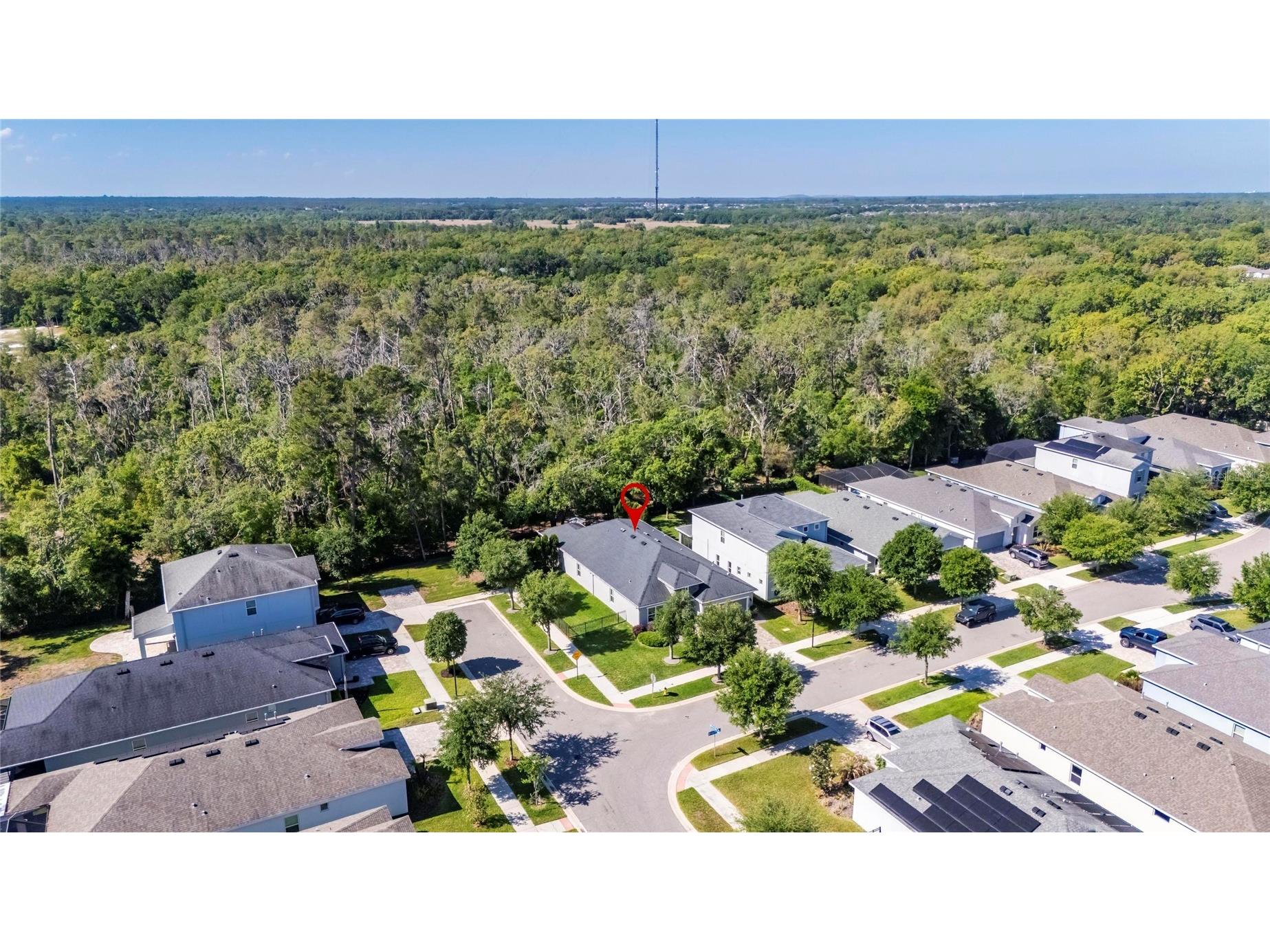 14121 Carissa Meadows Court Riverview FL 33569 TB8498309 image43