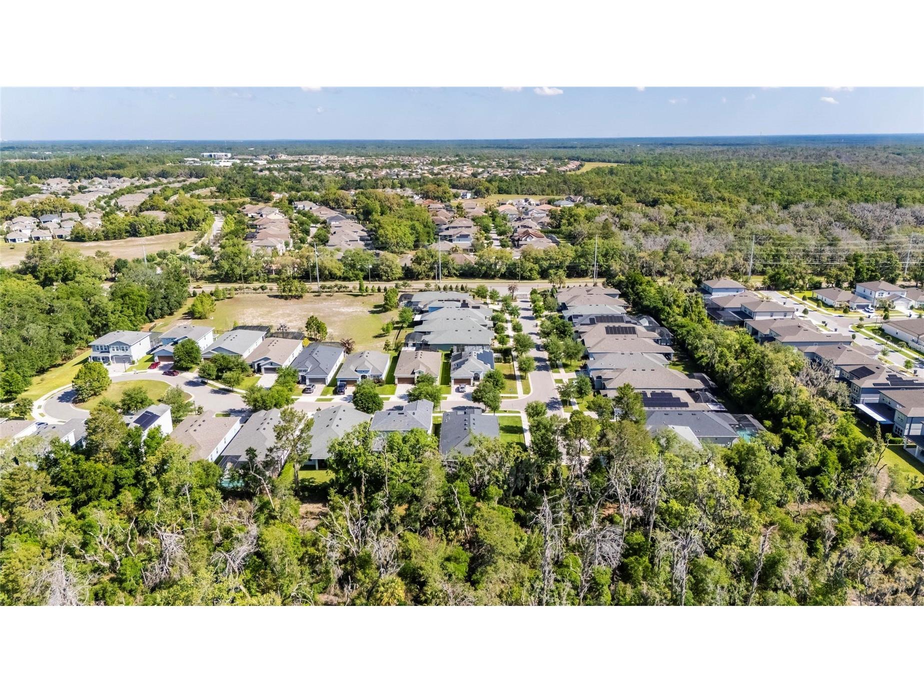 14121 Carissa Meadows Court Riverview FL 33569 TB8498309 image47