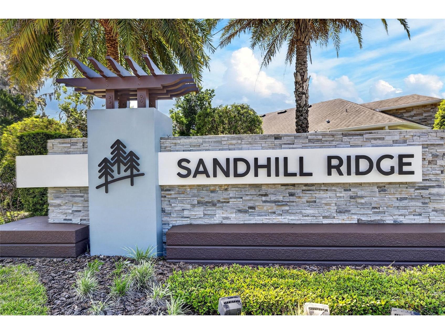 14121 Carissa Meadows Court Riverview FL 33569 TB8498309 image48