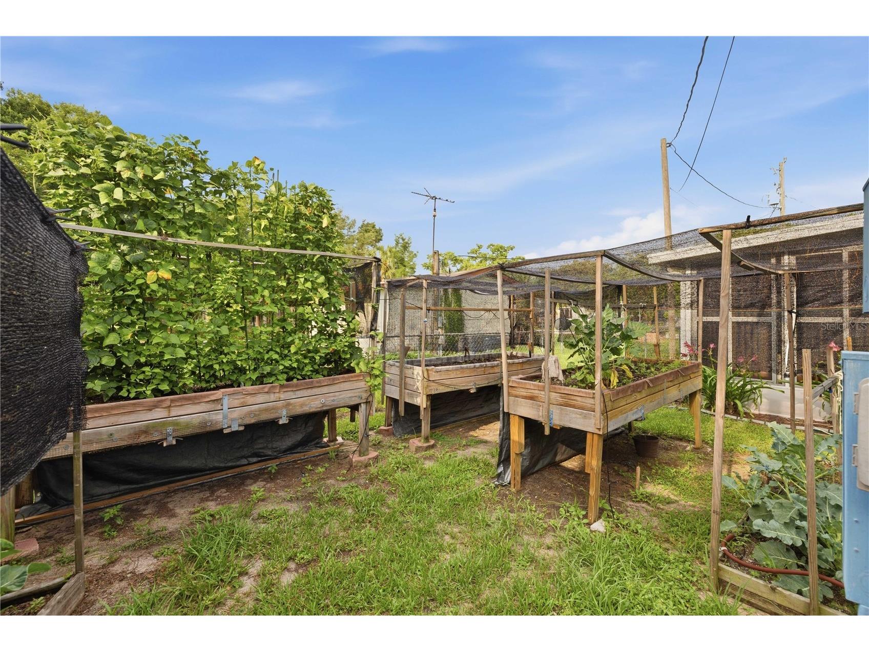 14121 SE 91st Court Summerfield FL 34491 OM726294 image17