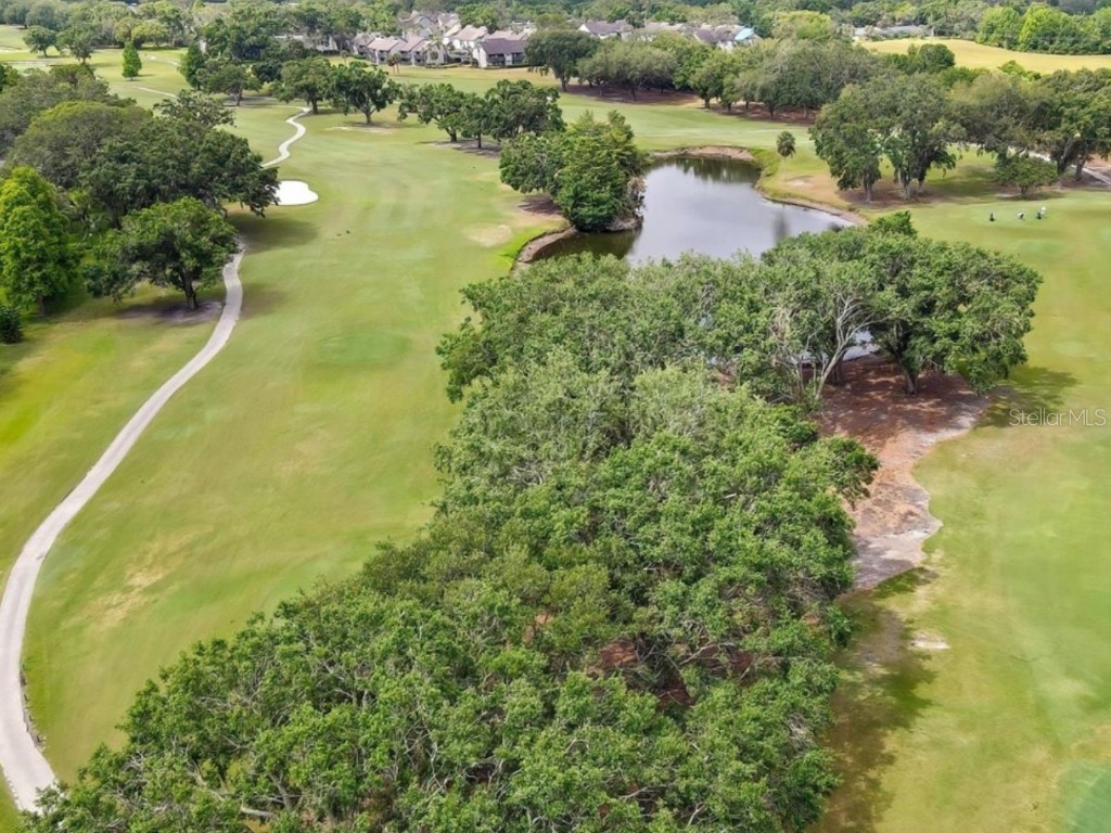 14123 Cypress Circle #14123 Tampa FL 33618 O6341891 image46