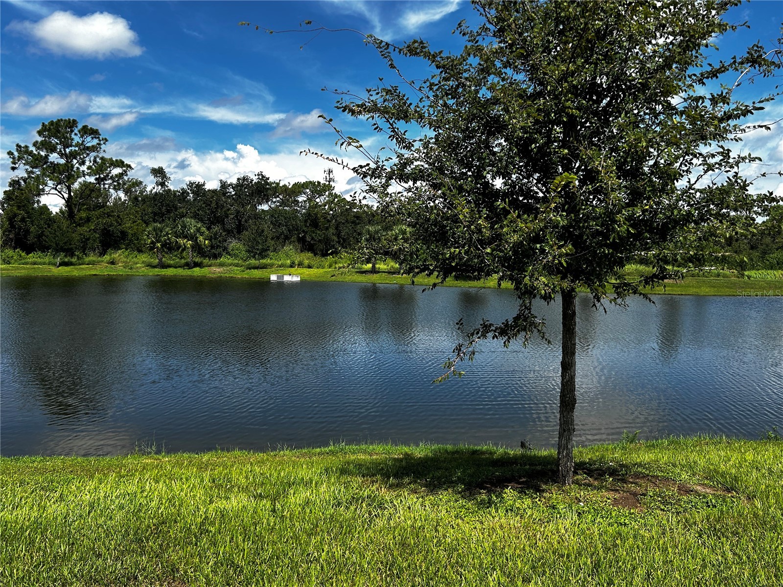 14124 Crimson Avenue Bradenton FL 34211 A4661372 image41