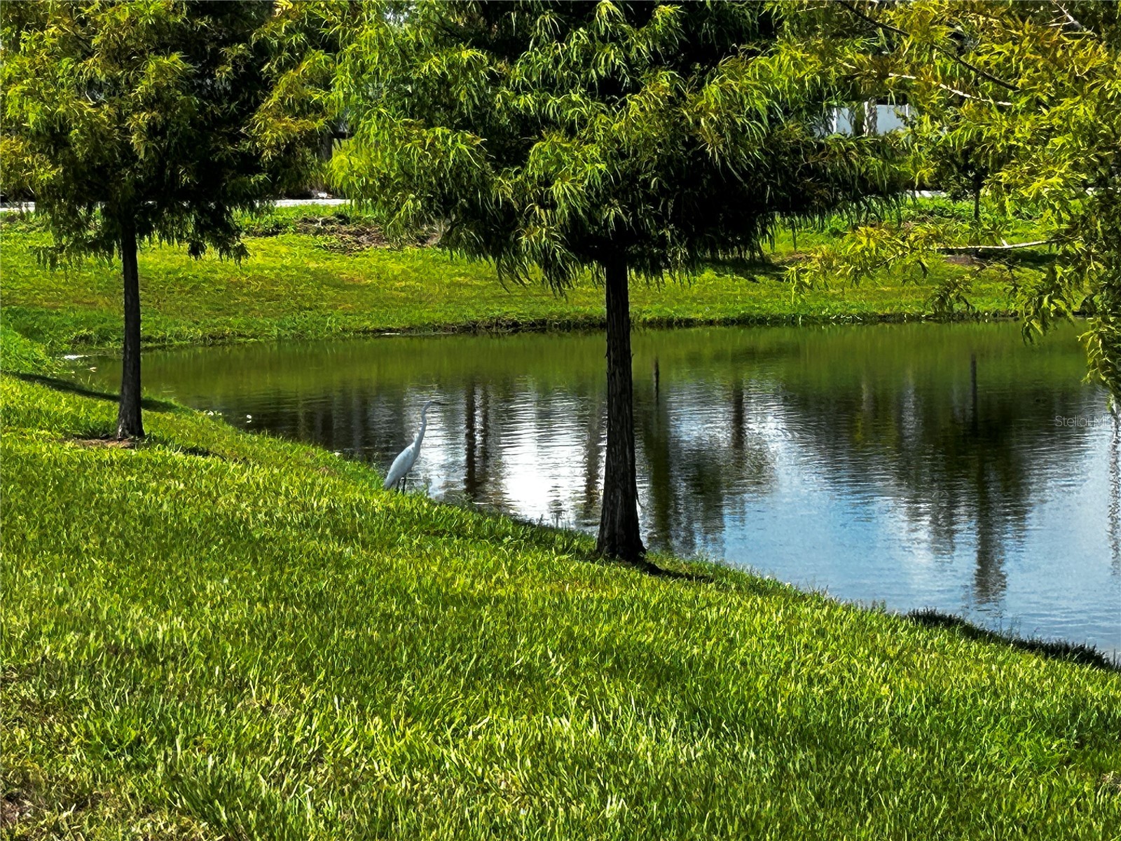 14124 Crimson Avenue Bradenton FL 34211 A4661372 image42