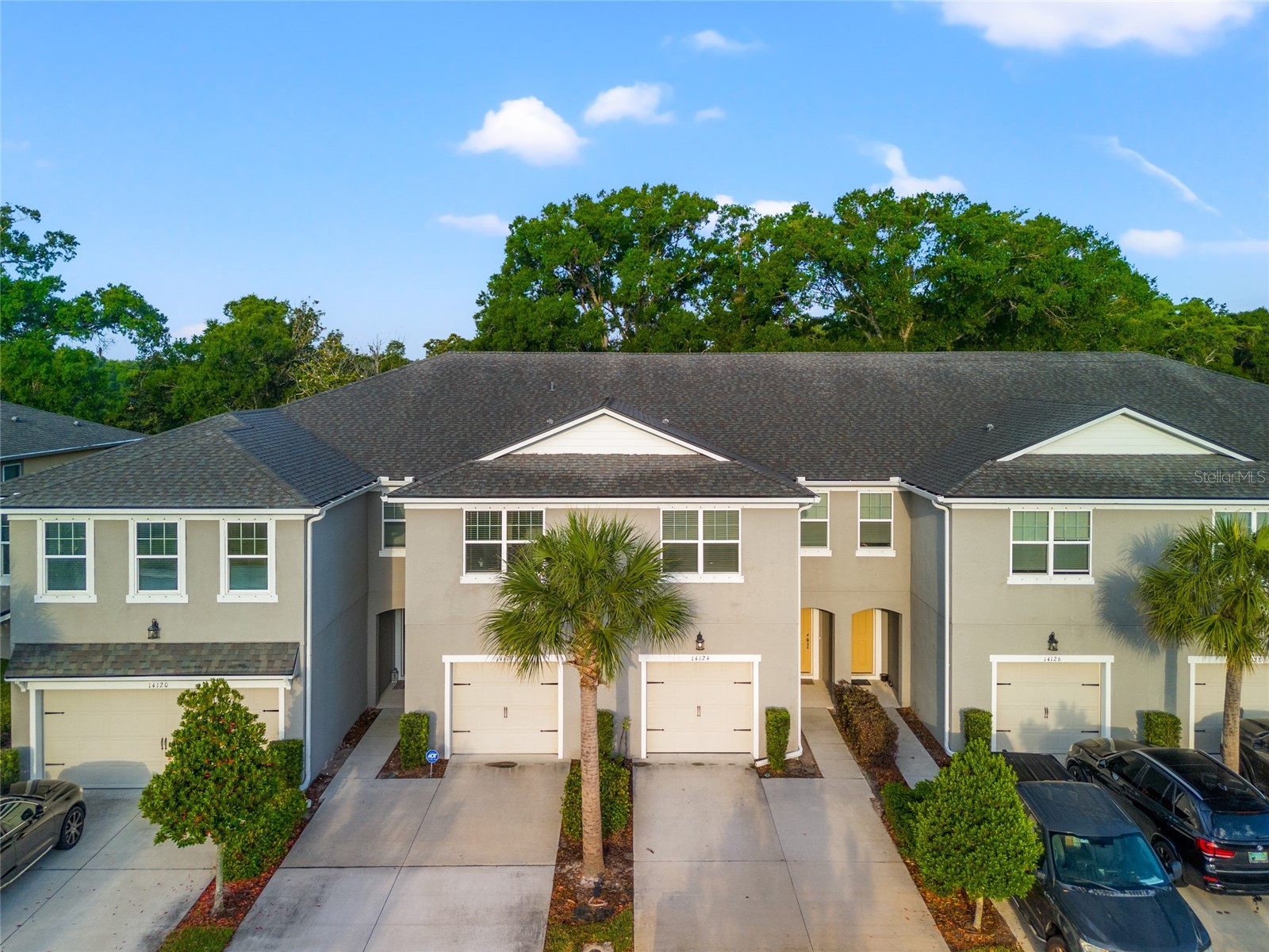 14124 Damselfly Drive Tampa FL 33625 - GANT LAKE TB8505935 image4