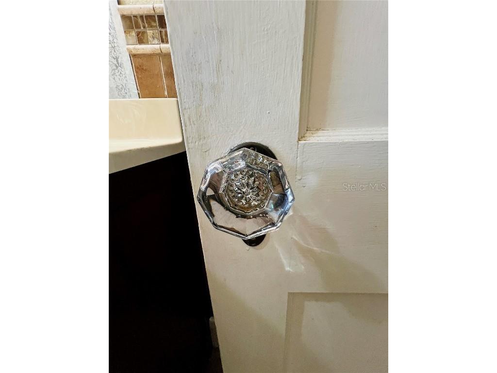 14124 Plum Lane Hudson FL 34667 TB8347666 image33