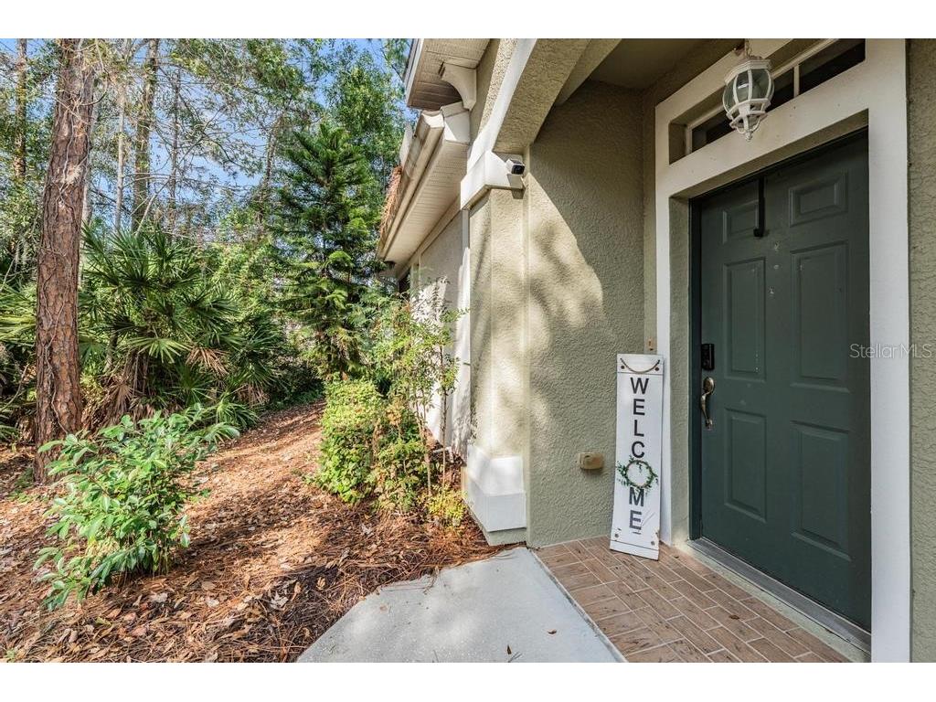 14125 Waterville Circle Tampa FL 33626 TB8448129 image3