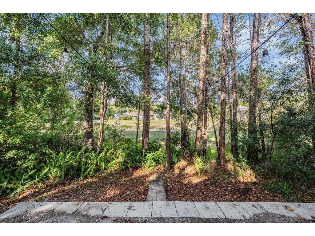 14125 Waterville Circle Tampa FL 33626 TB8448129 image39