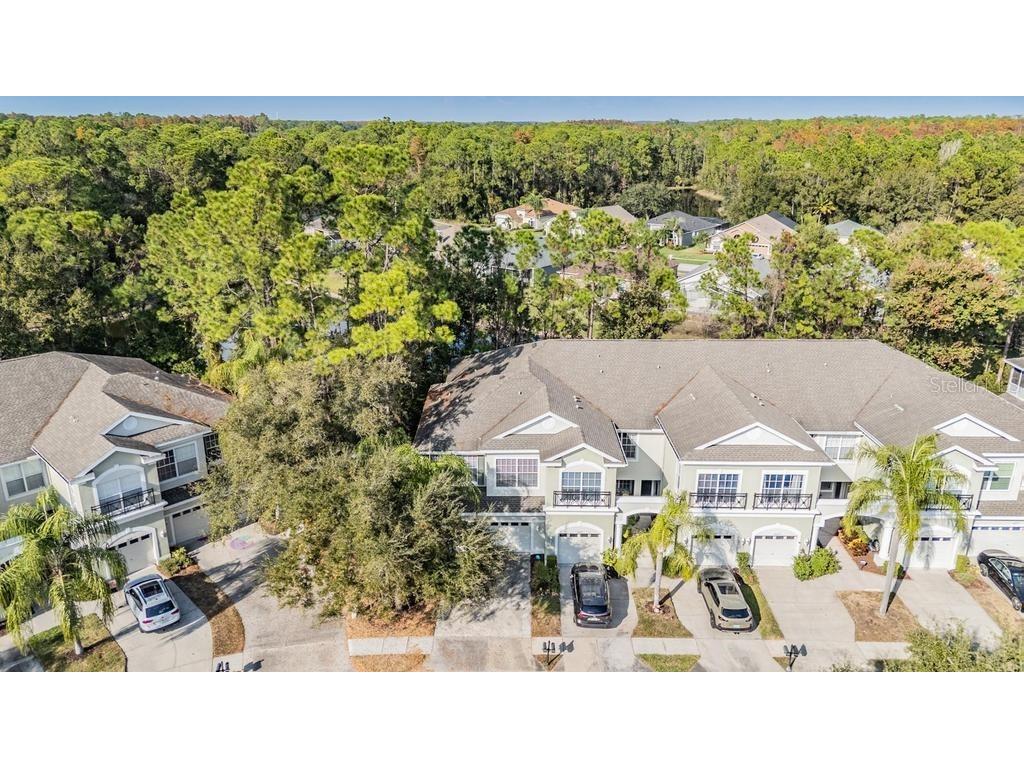 14125 Waterville Circle Tampa FL 33626 TB8448129 image44