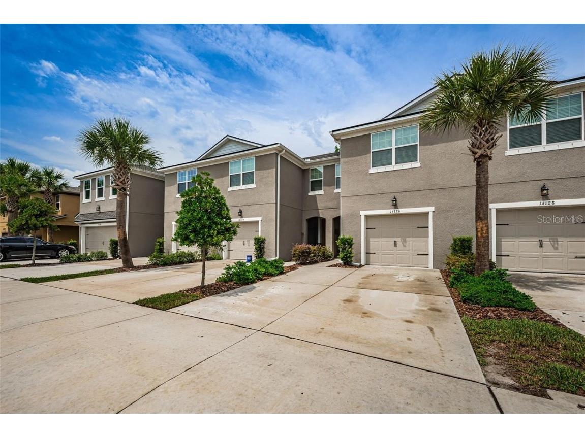 14126 Damselfly Drive #115 Tampa FL 33625 T3533180 image1