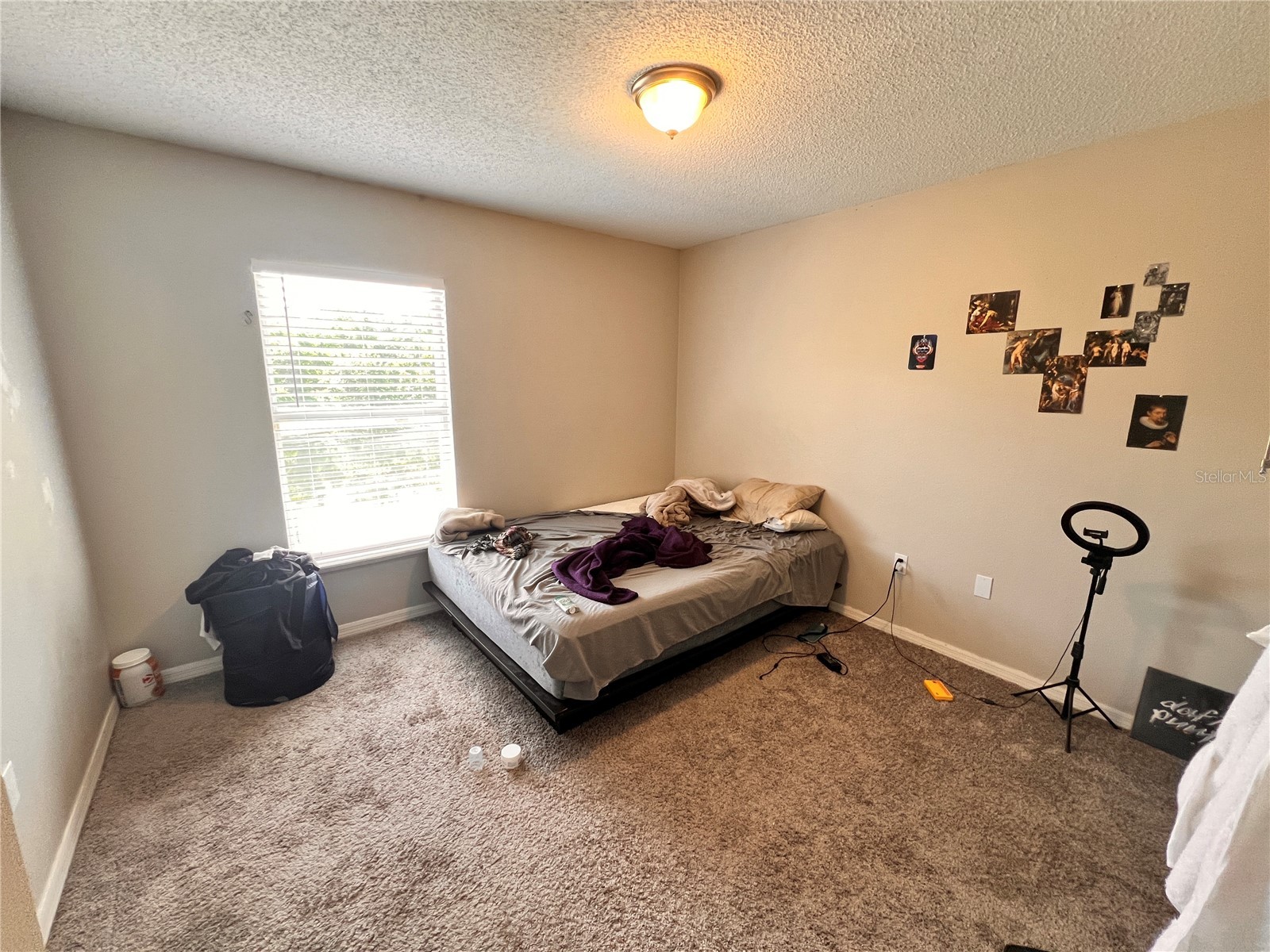 14126 Econ Woods Lane Orlando FL 32826 O6397845 image8