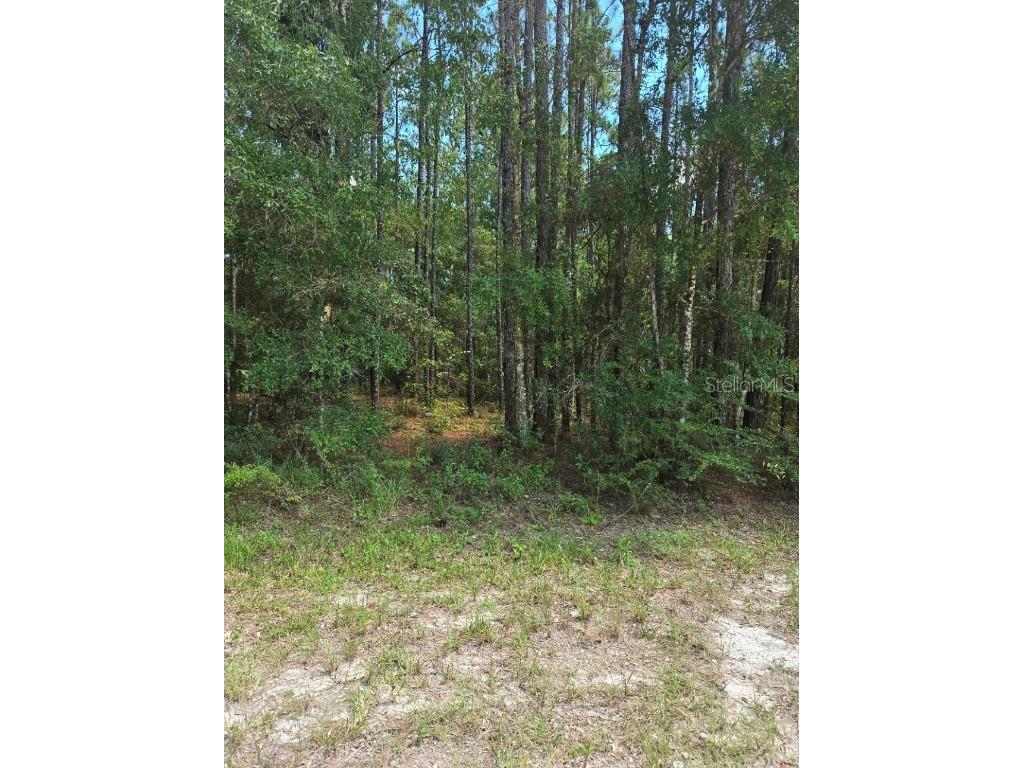 14126 Ricebird Avenue Brooksville FL 34614 TB8435277 image1