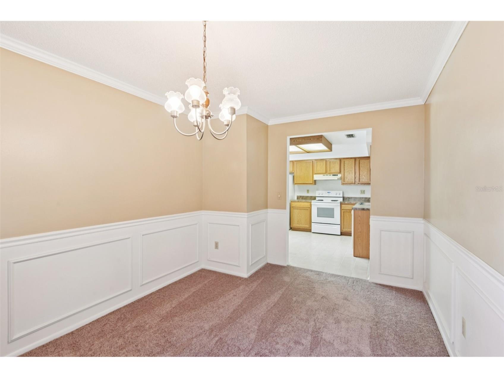 14128 Arbor Hills Road Tampa FL 33625 TB8431888 image14