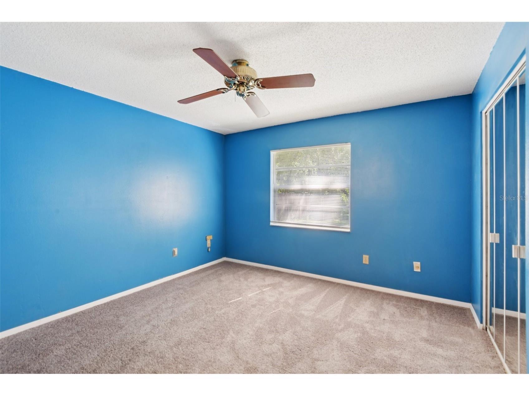 14128 Arbor Hills Road Tampa FL 33625 TB8431888 image15