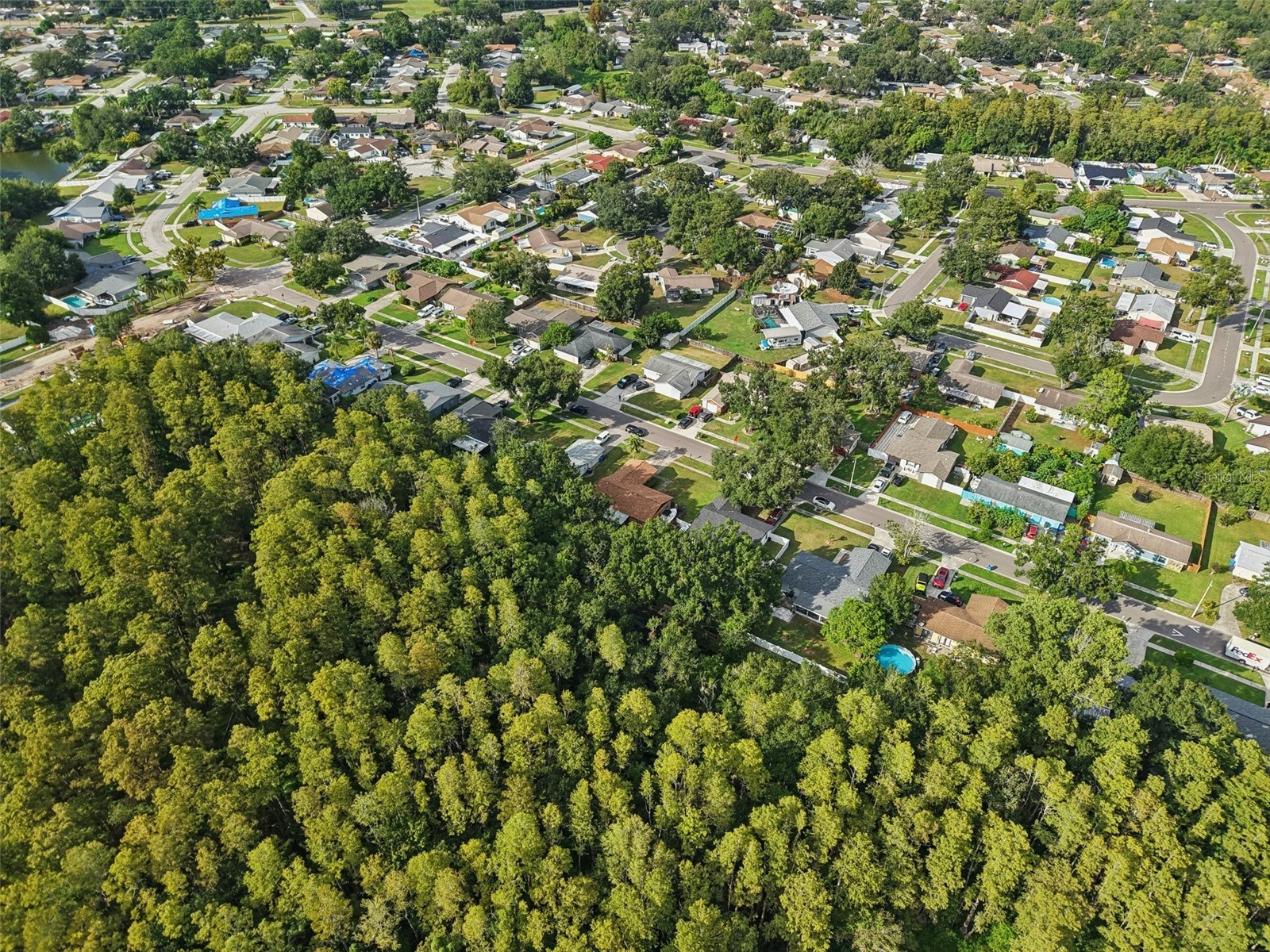 14128 Arbor Hills Road Tampa FL 33625 TB8431888 image32